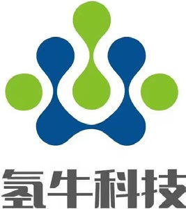 HING NIO Technology (Guang Dong) Co., Ltd.
